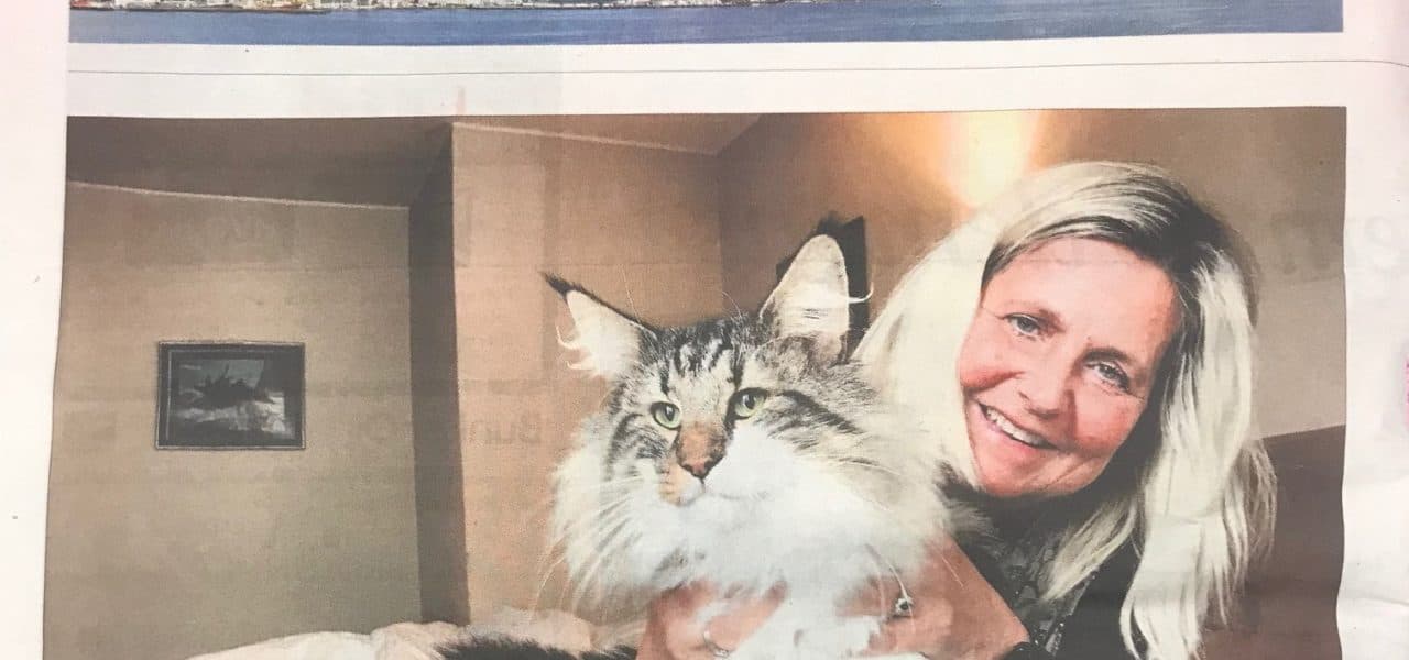 Sunset in the mountains