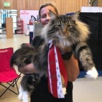 WW’18 GIC (N) Migoto’s Albert, JW DVM