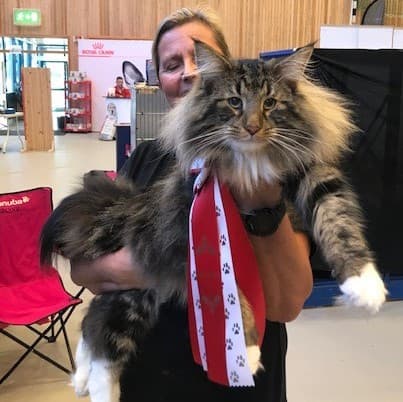 WW ’18 IC (N) Migoto’s Albert JW picture