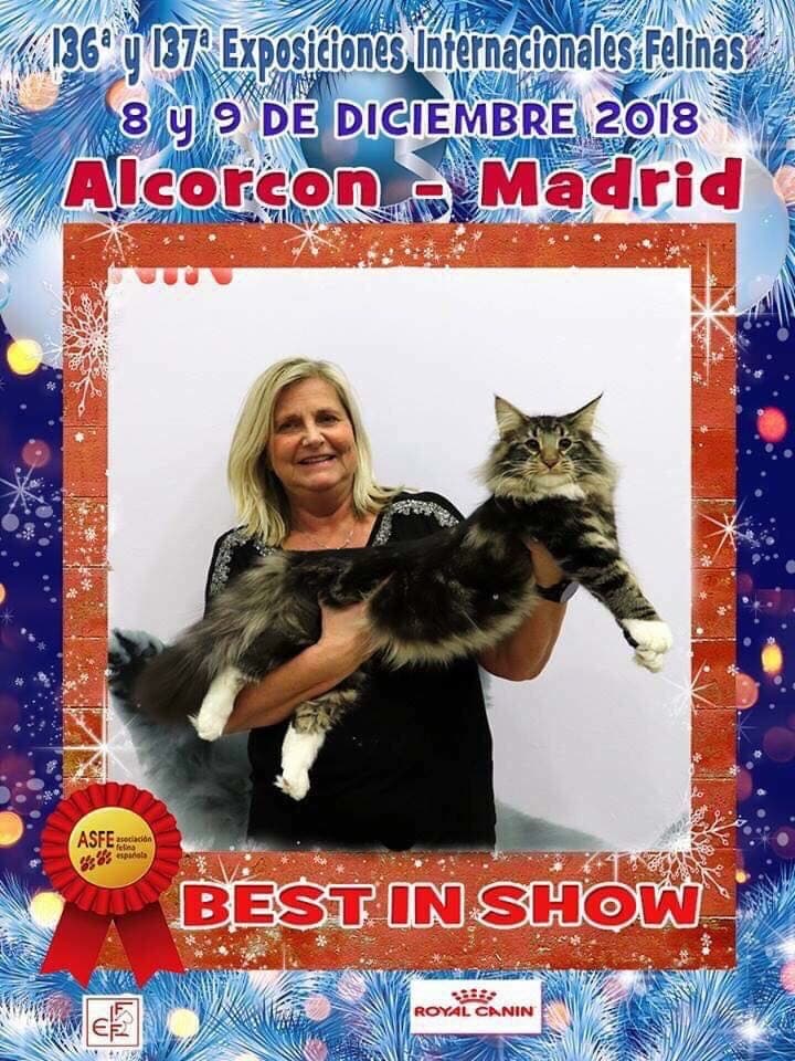 WW ’18 IC (N) Migoto’s Albert JW picture