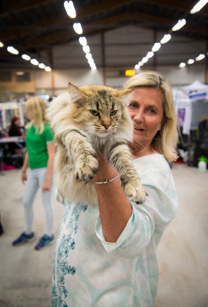 NW SW’10 SC (N)Migoto’s Johanne, JW, DSM, DVM picture