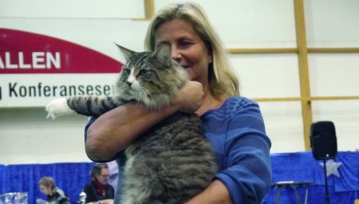 SC (N)Migoto’s Simba, JW, DSM, DVM picture