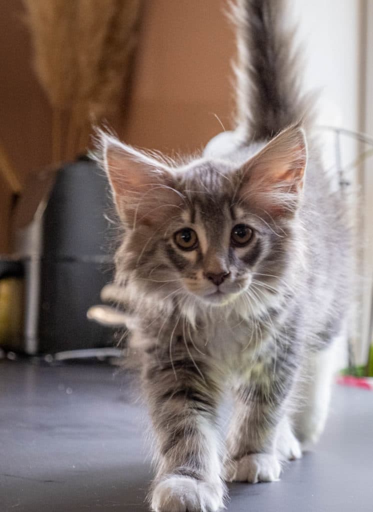 (N)Migoto's Junior, NFO a 09 22