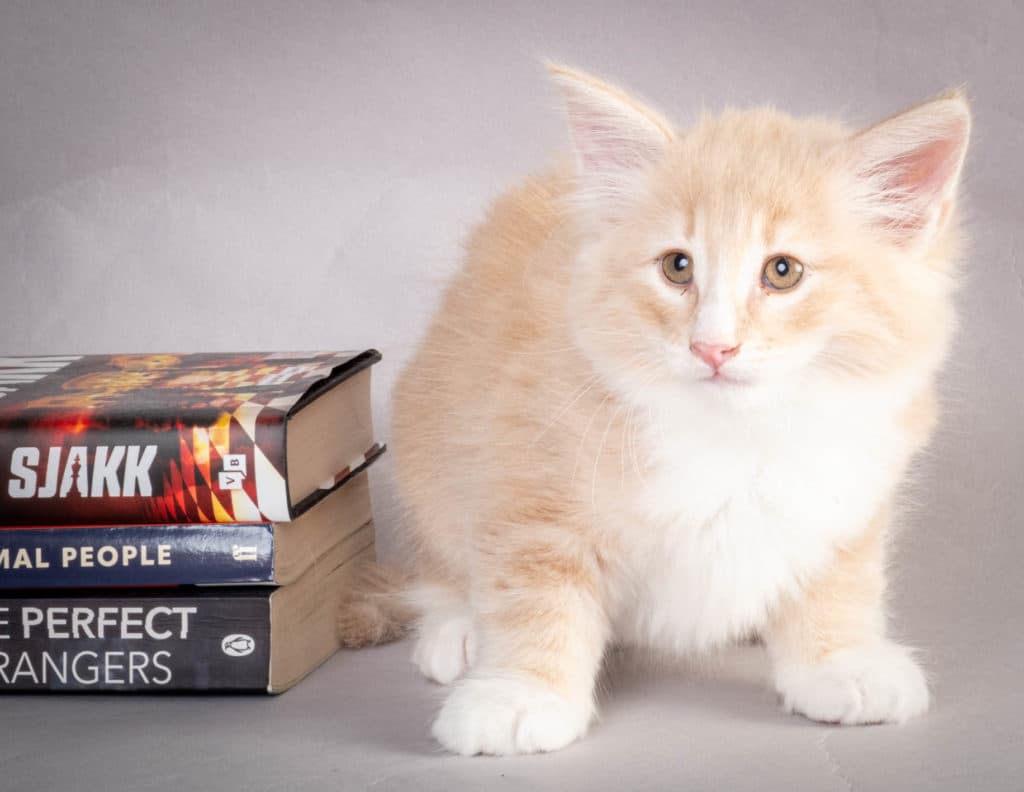 (N)Migoto's Laban, NFO e 09 22