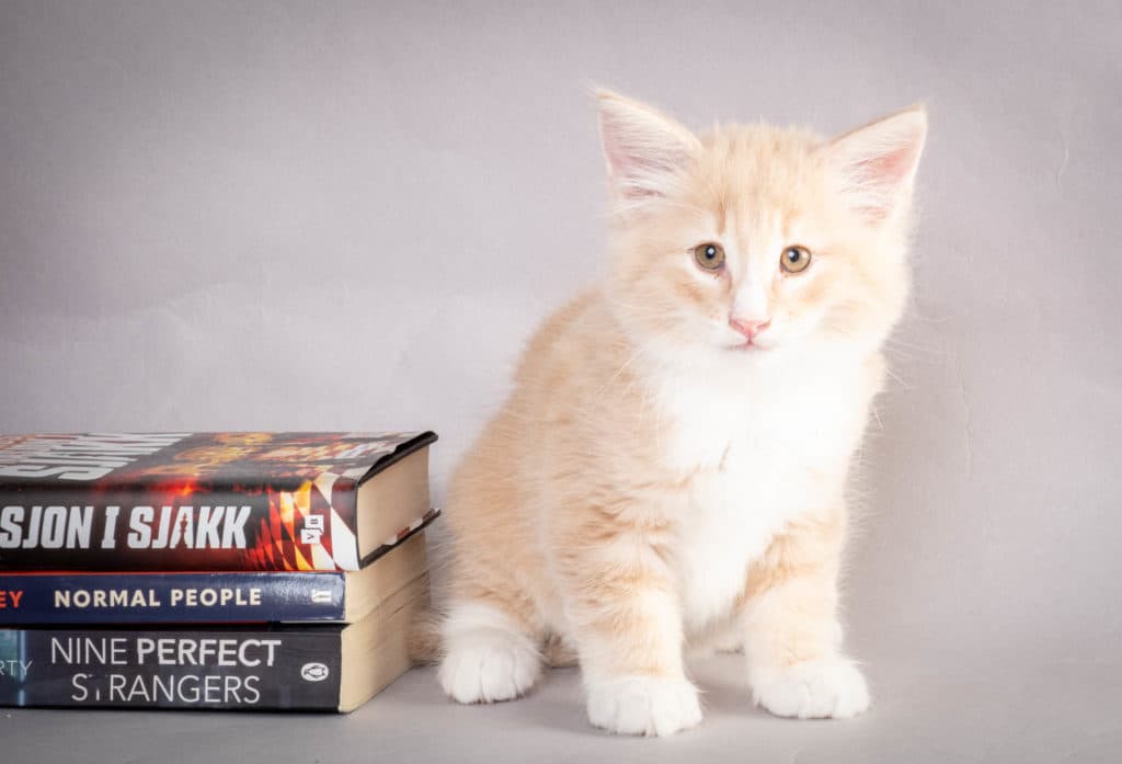 (N)Migoto's Laban, NFO e 09 22