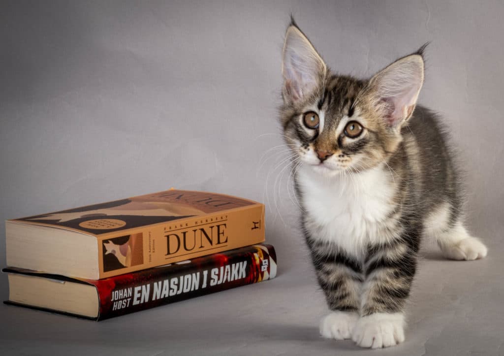 (N)Migoto's Liva, NFO n 09 22