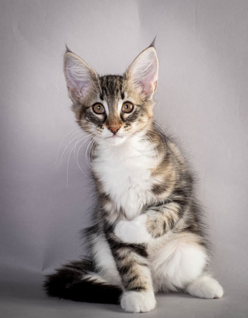 (N)Migoto's Liva, NFO n 09 22