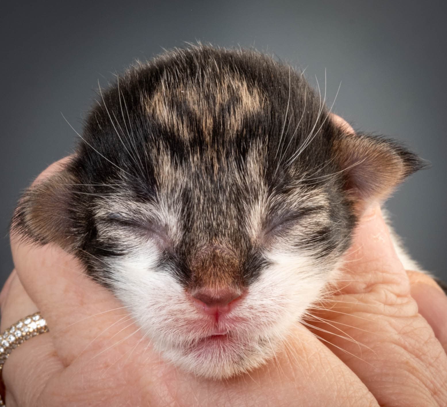 (N)Migoto's Magne, NFO n 03 22