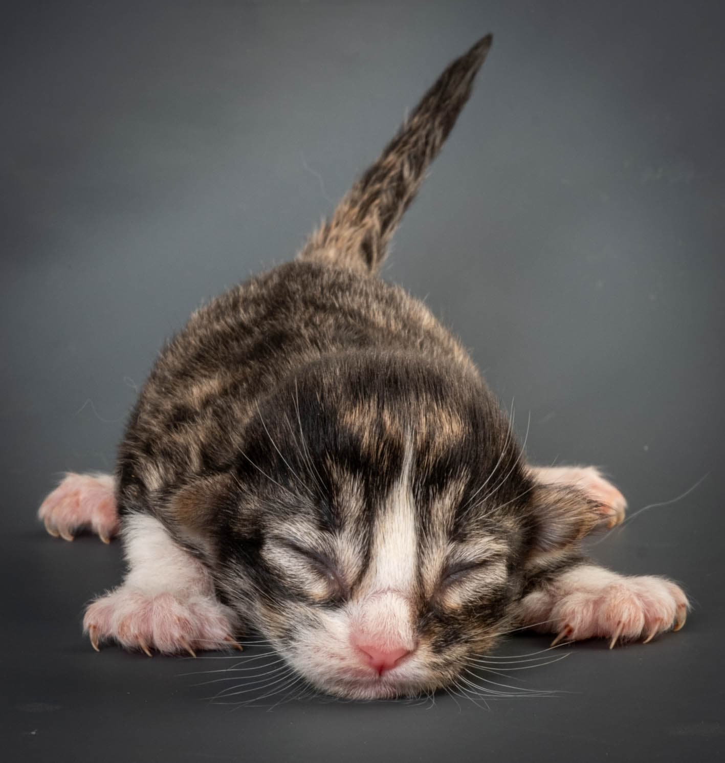 (N)Migoto's Marcus, NFO n 09 24