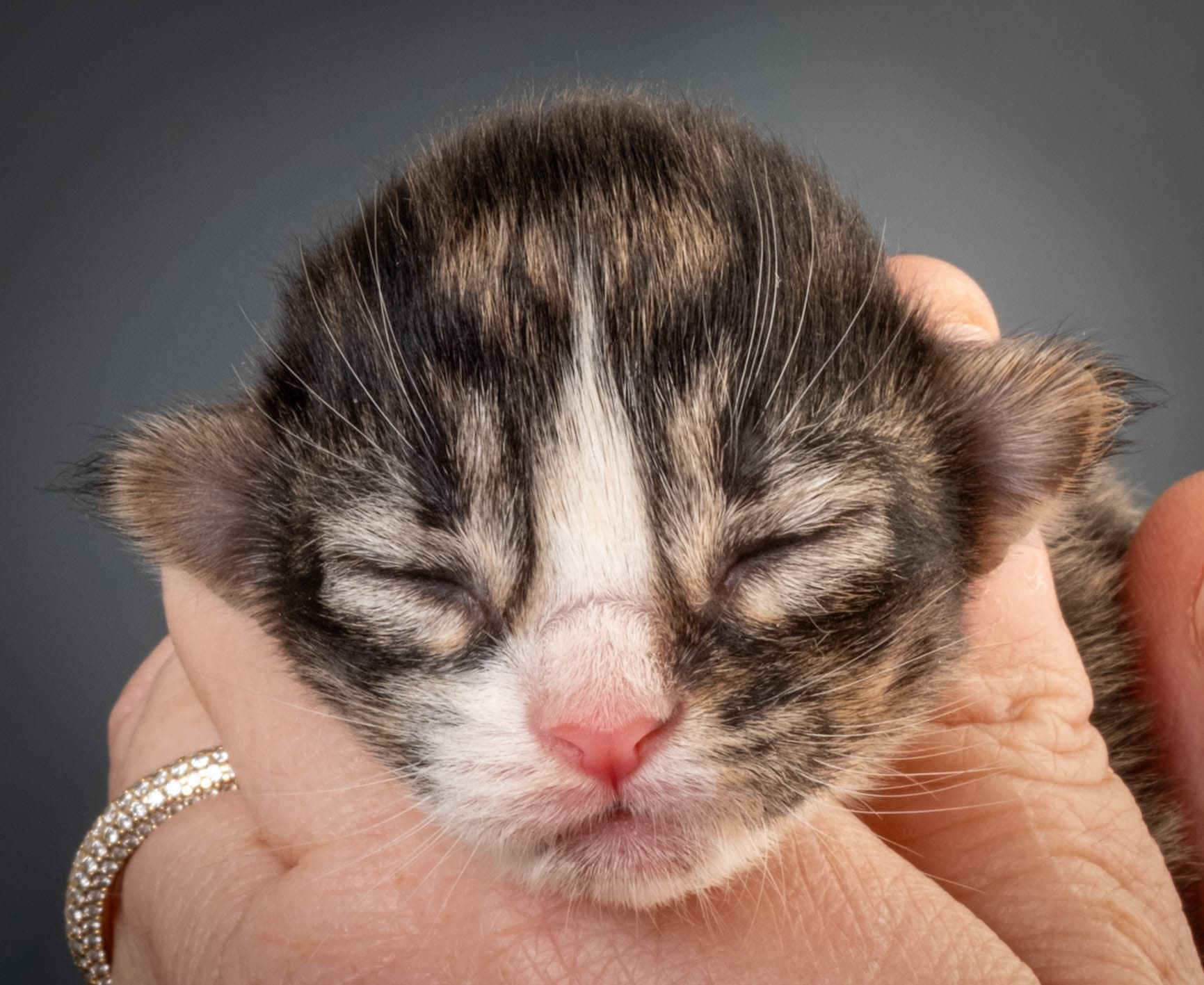 (N)Migoto's Marcus, NFO n 09 24