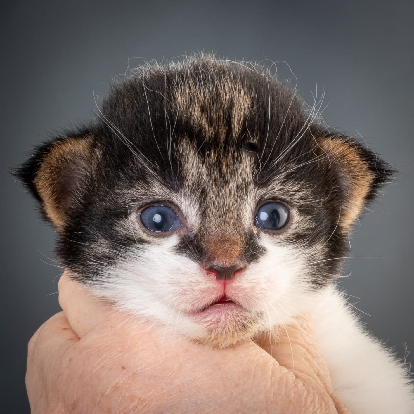 (N)Migoto's Magne, NFO n 03 22