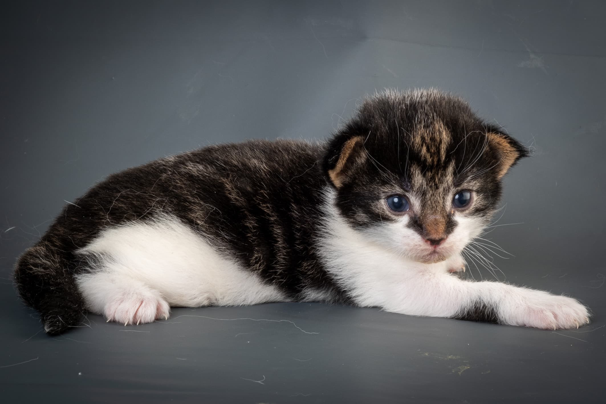 (N)Migoto's Magne, NFO n 03 22