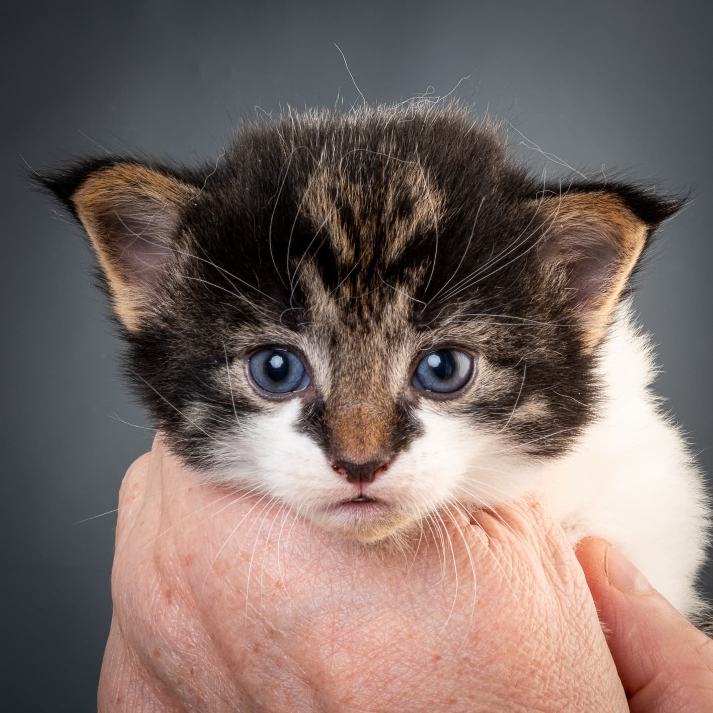 (N)Migoto's Magne, NFO n 03 22