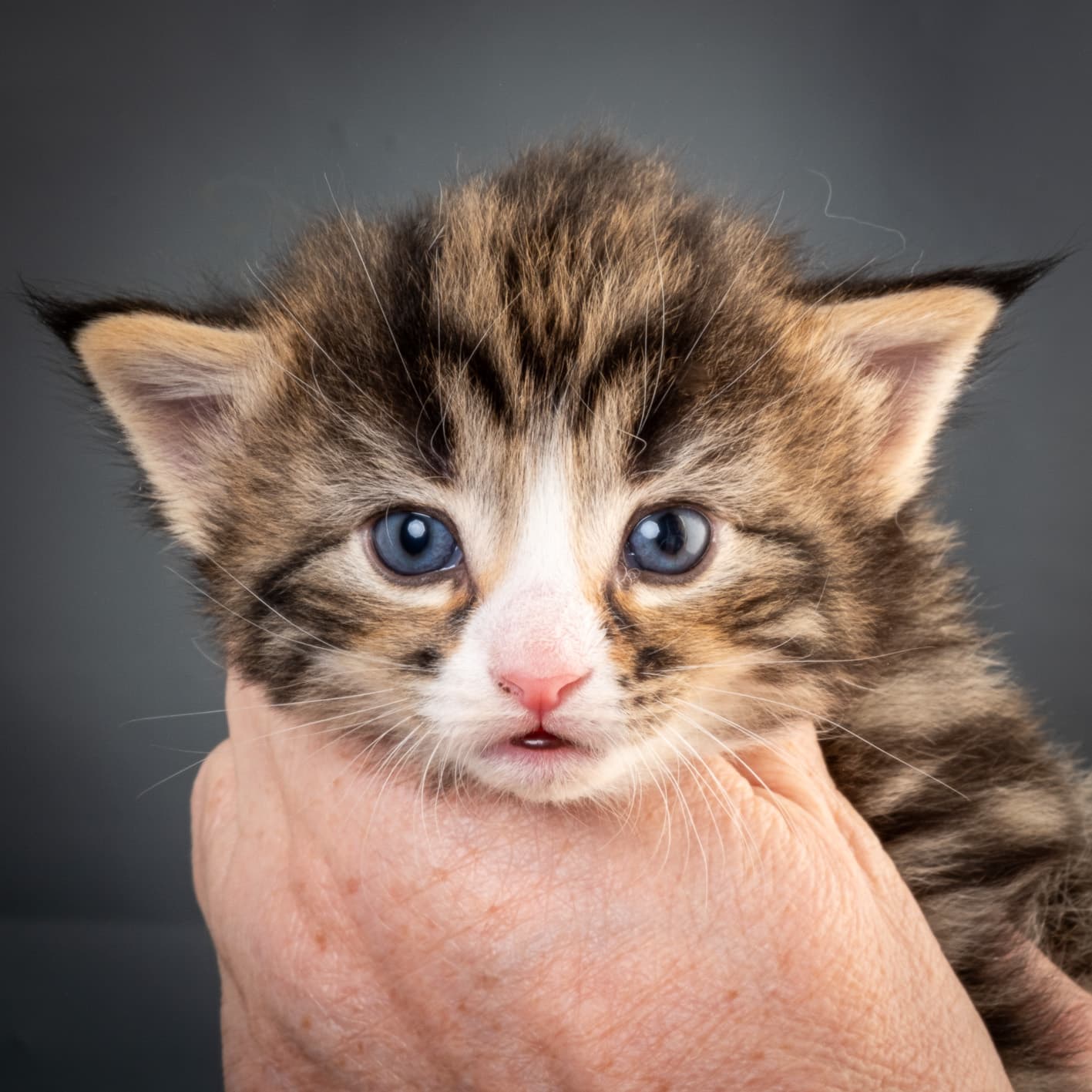 (N)Migoto's Martinius, NFO n 09 24