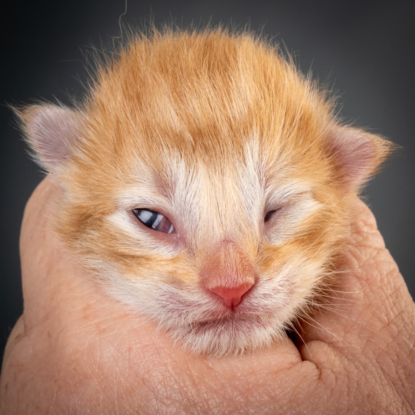 (N)Migoto's Nemo, d 09 22