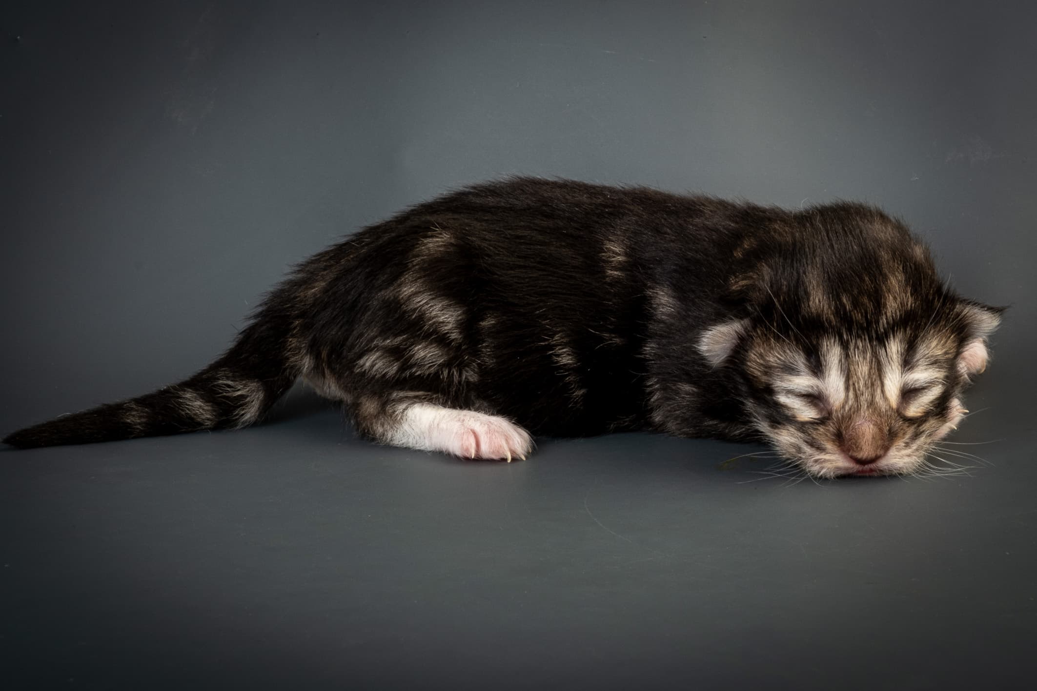 (N)Migoto's Njård, NFO n 09 22