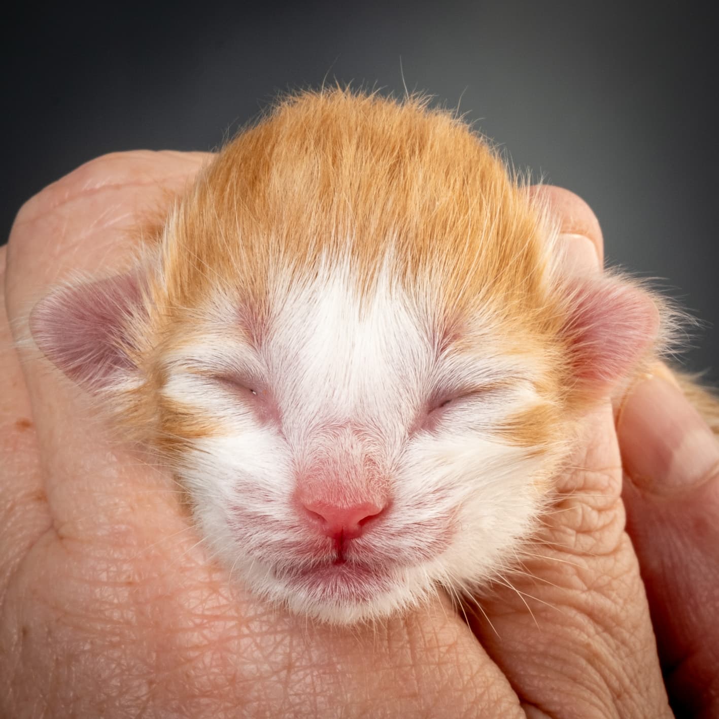 (N)Migoto's Nate, NFO d 03 22