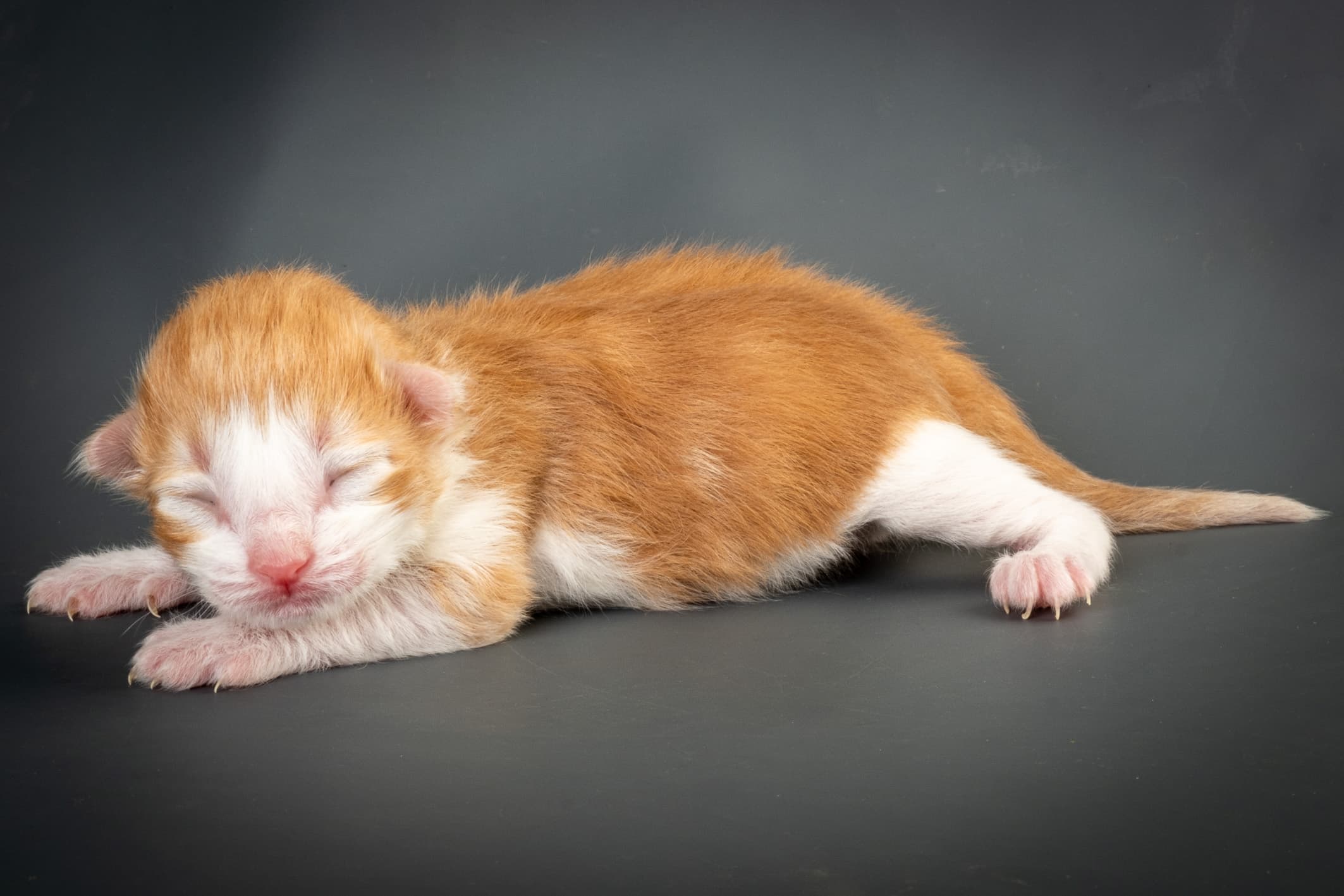 (N)Migoto's Nate, NFO d 03 22