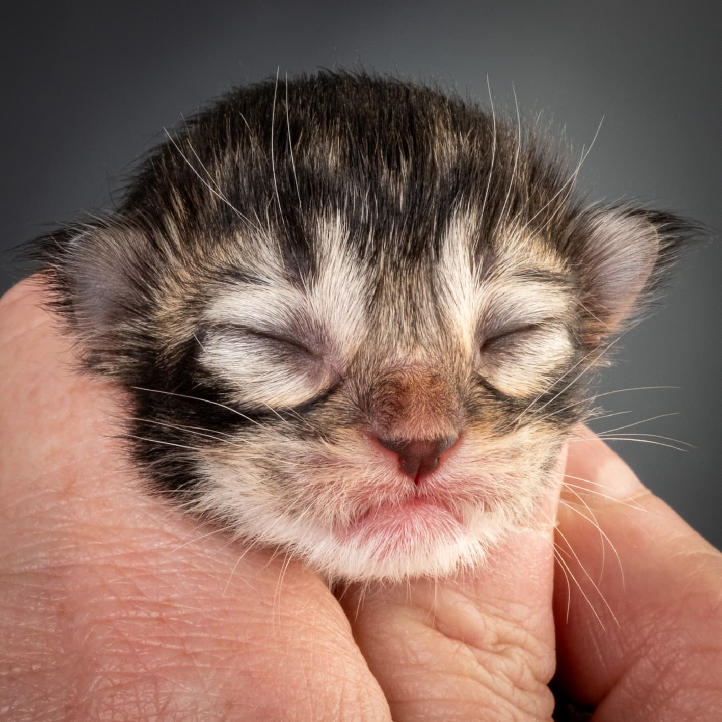 (N)Migoto's Nina, NFO n 09 22