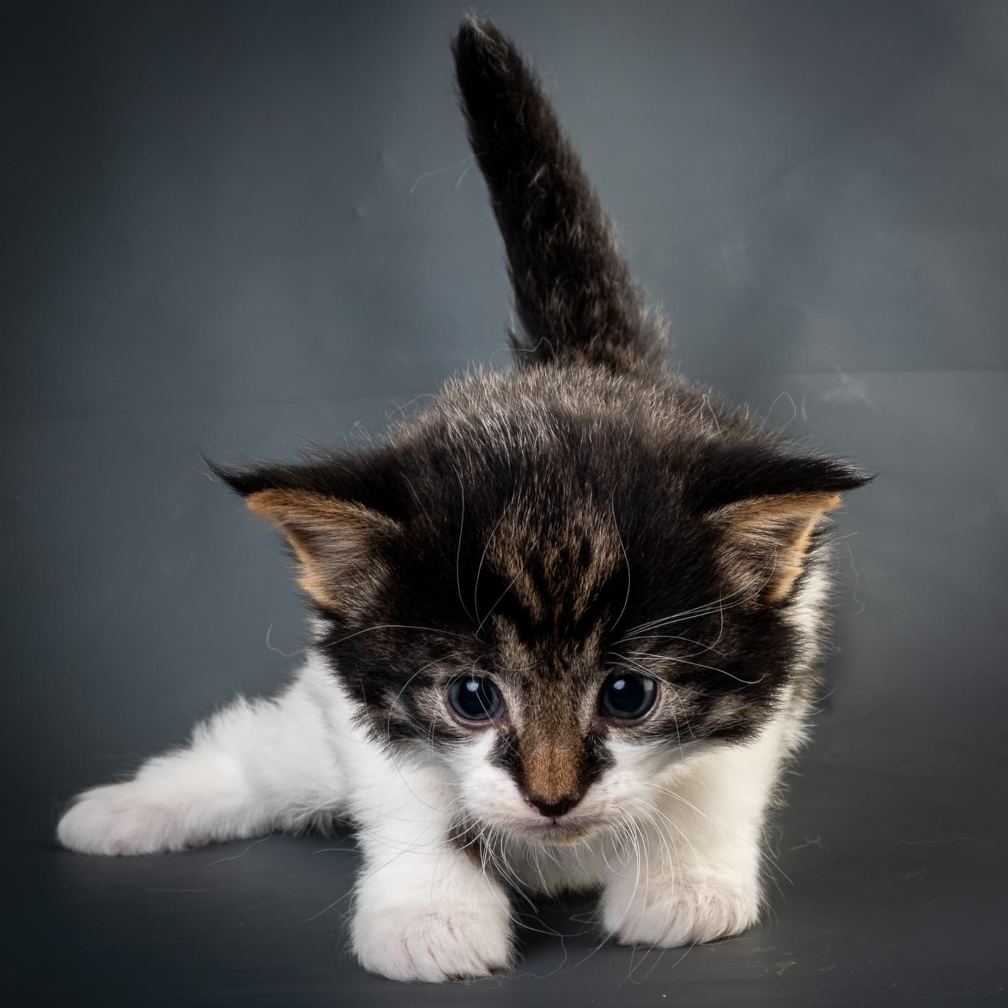 (N)Migoto's Magne, NFO n 03 22