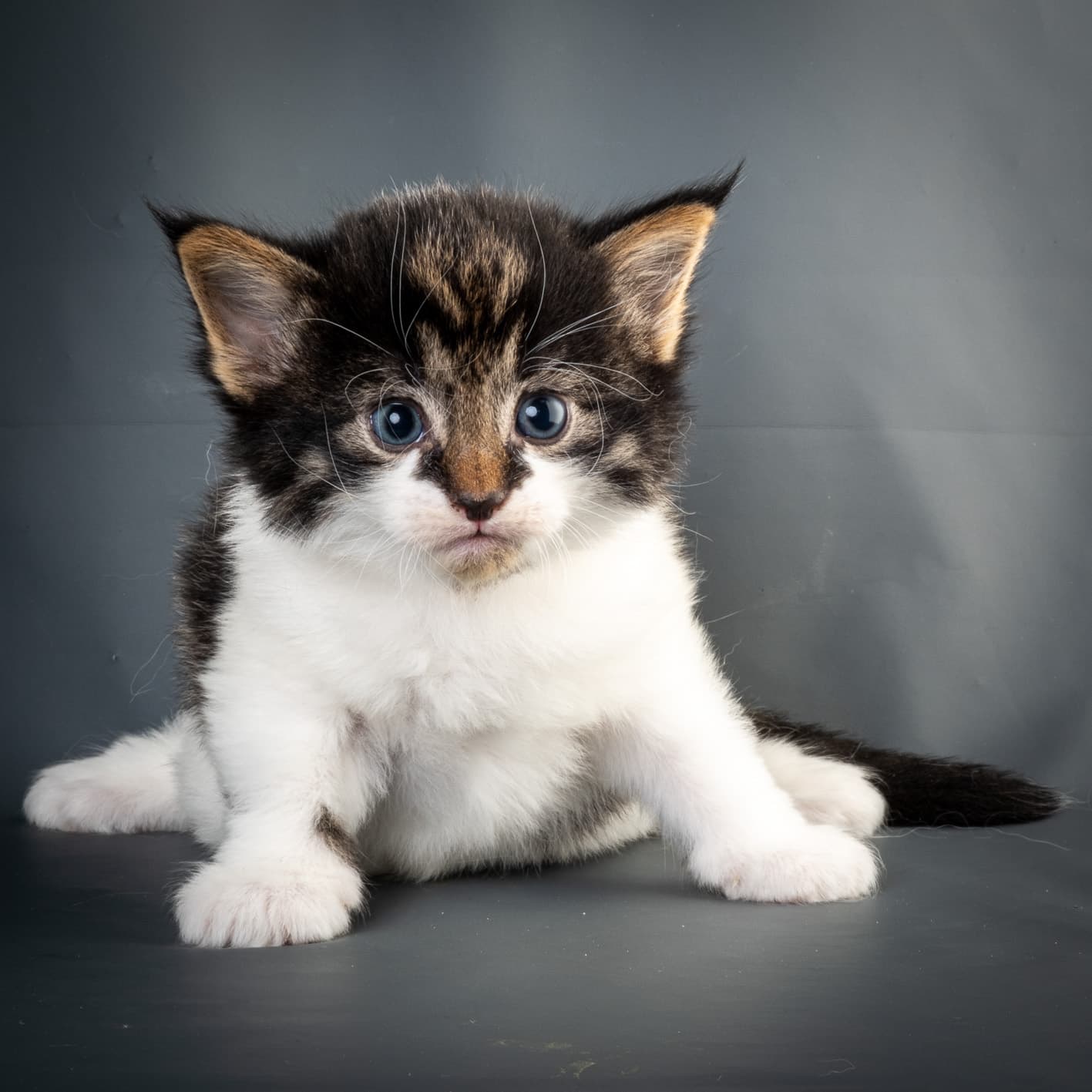 (N)Migoto's Magne, NFO n 03 22