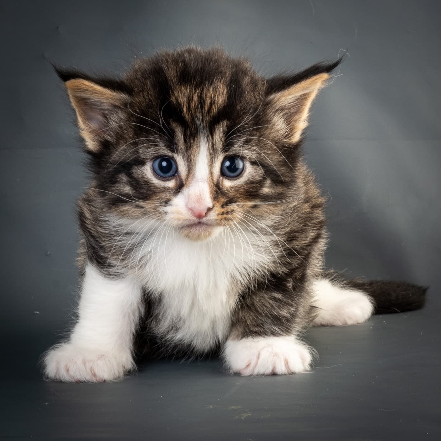 (N)Migoto's Marcus, NFO n 09 24