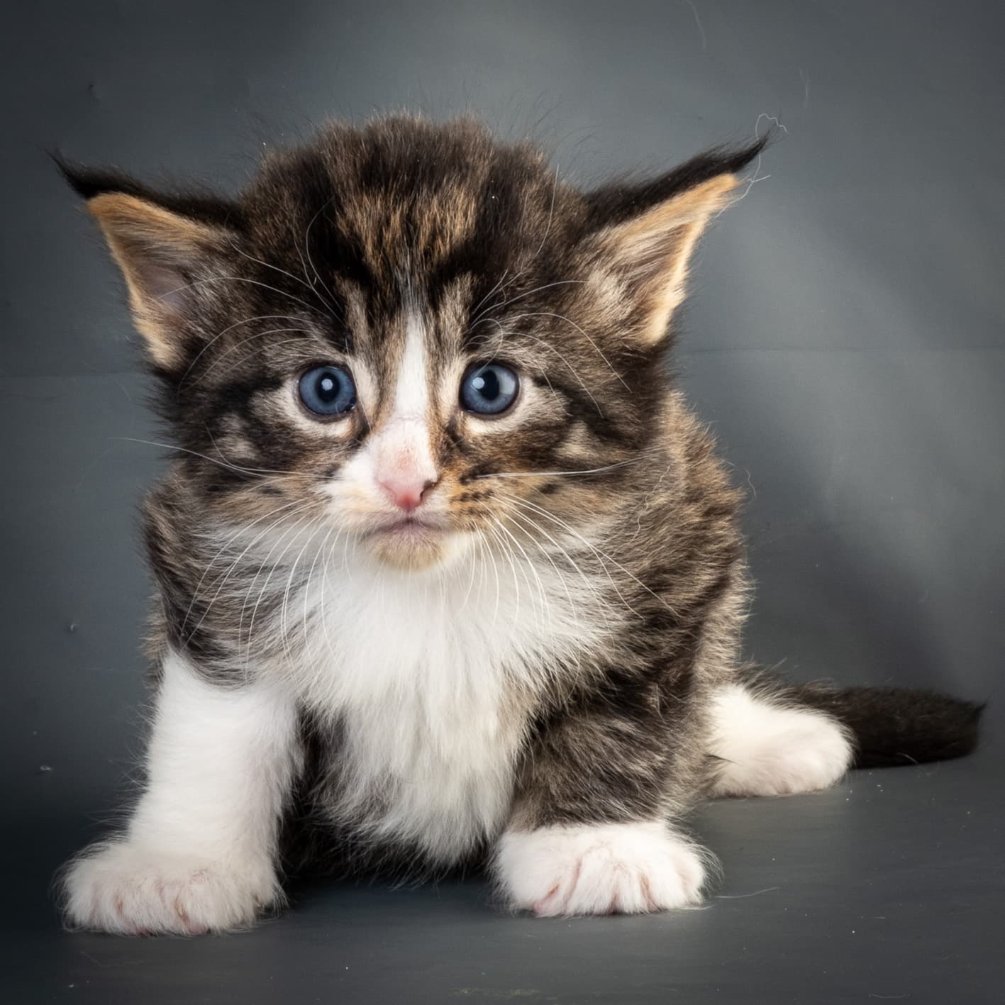 (N)Migoto's Marcus, NFO n 09 24