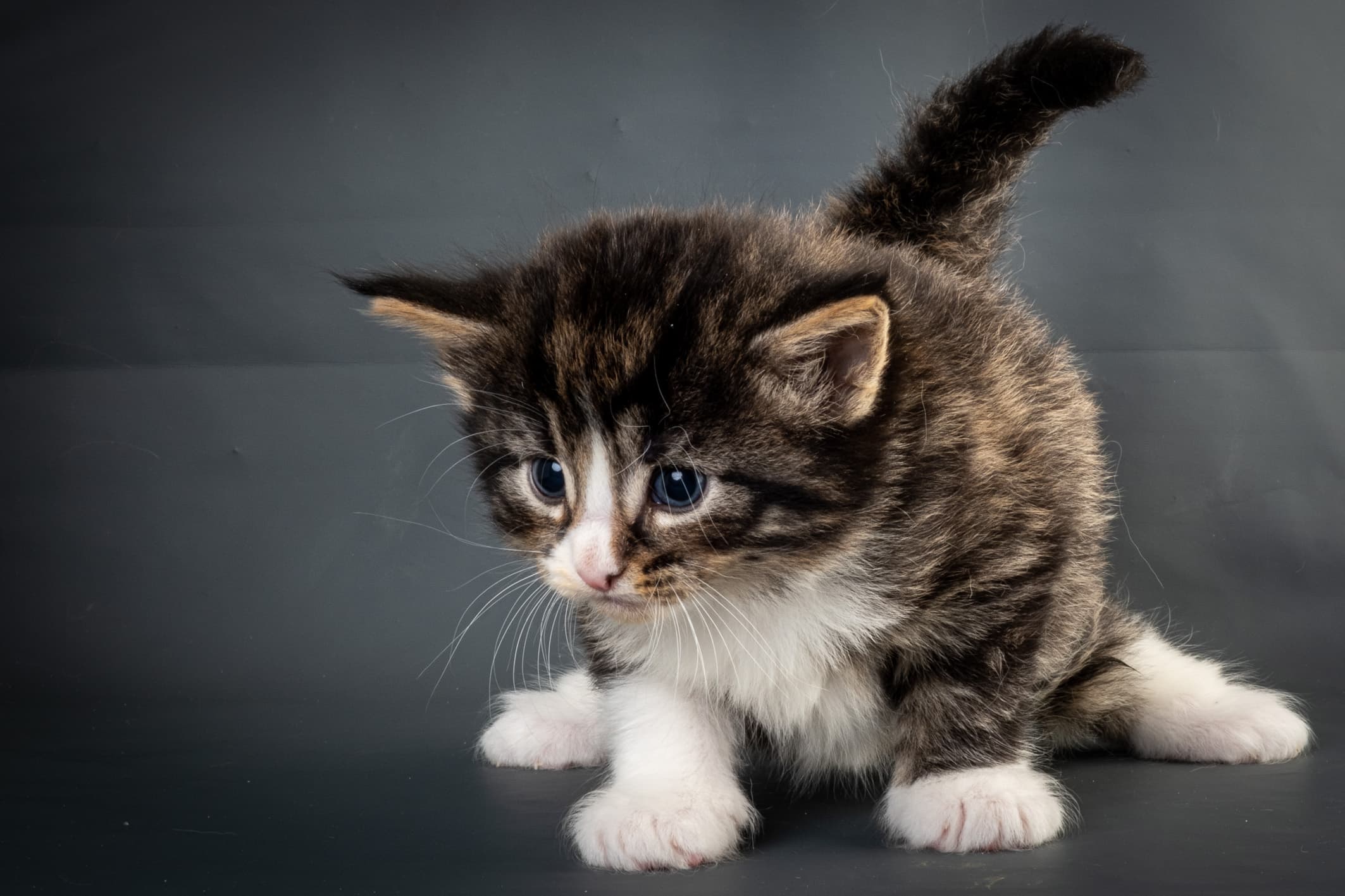 (N)Migoto's Marcus, NFO n 09 24