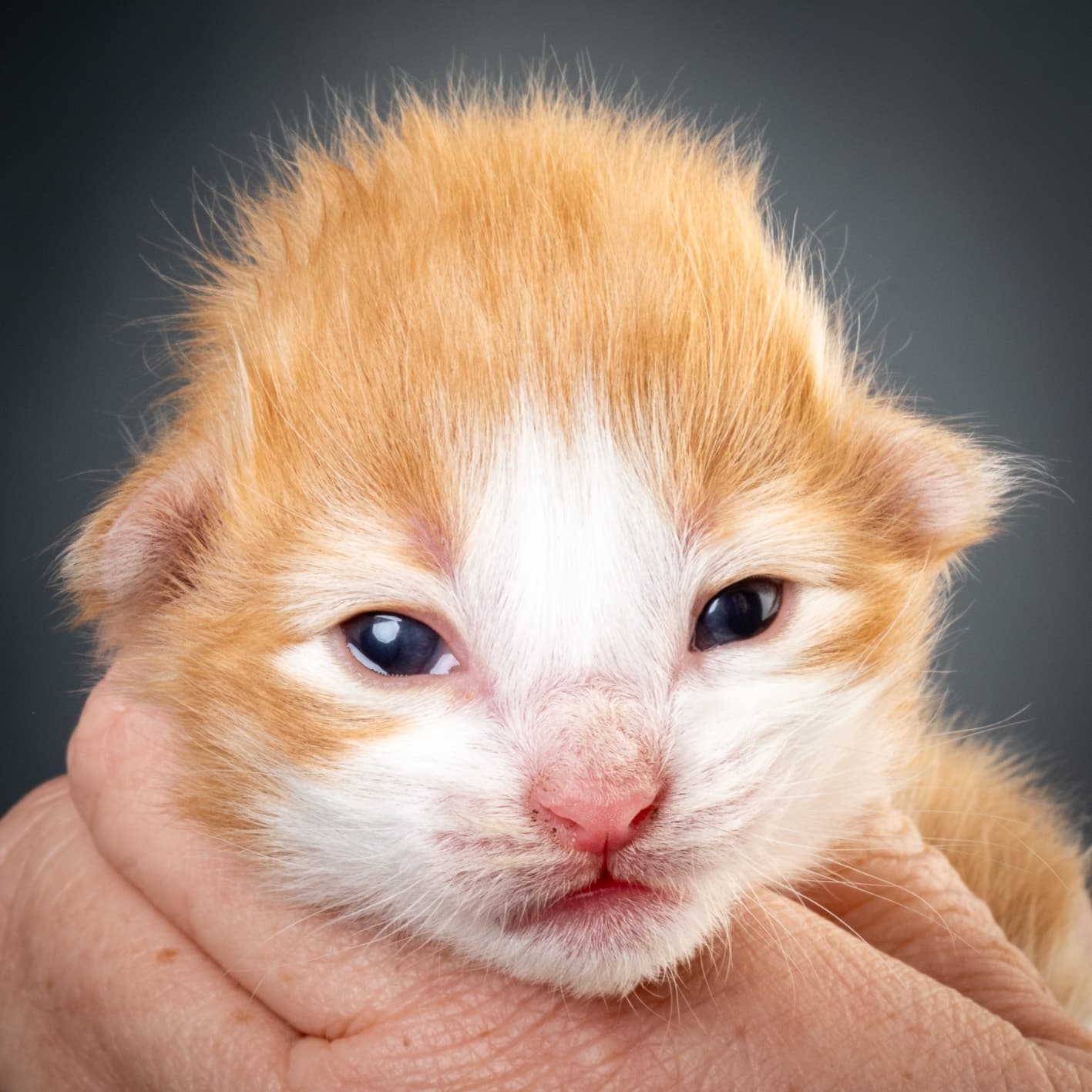 (N)Migoto's Nate, NFO d 03 22