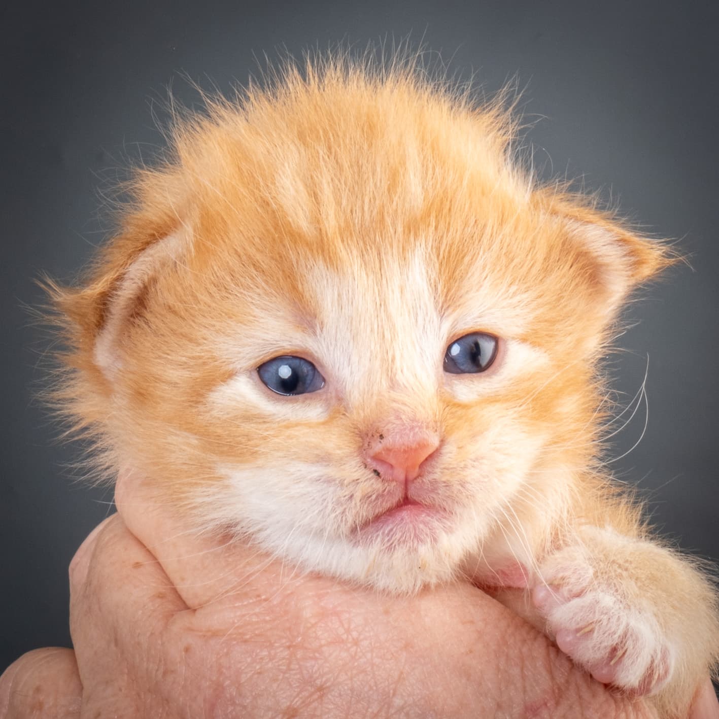 (N)Migoto's Nemo, d 09 22