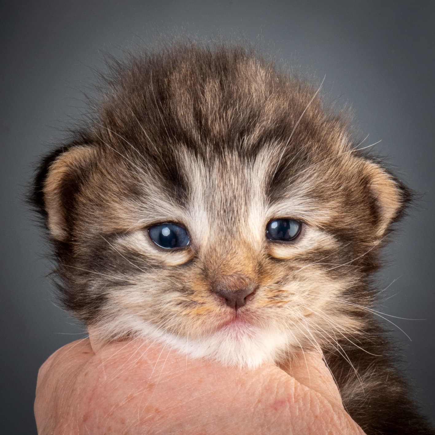 (N)Migoto's Njård, NFO n 09 22