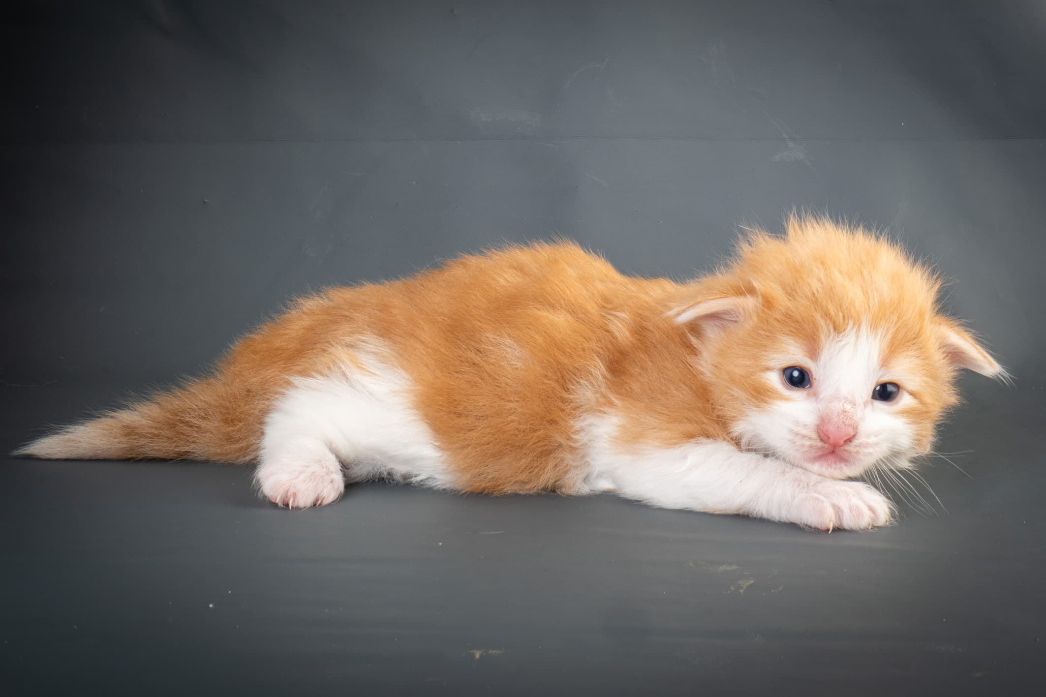 (N)Migoto's Nate, NFO d 03 22