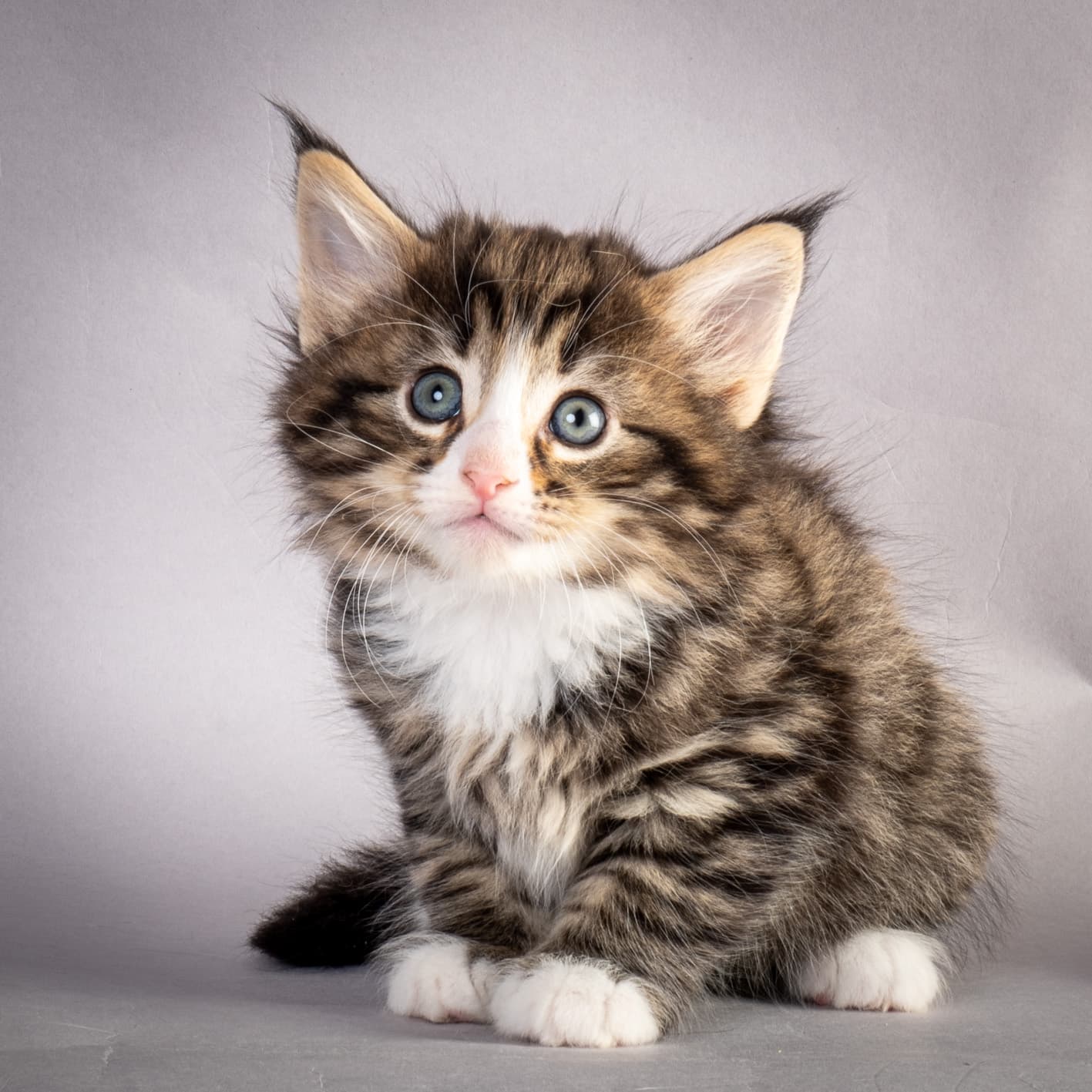 (N)Migoto's Martinius, NFO n 09 24