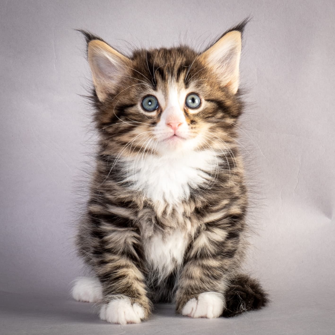 (N)Migoto's Martinius, NFO n 09 24