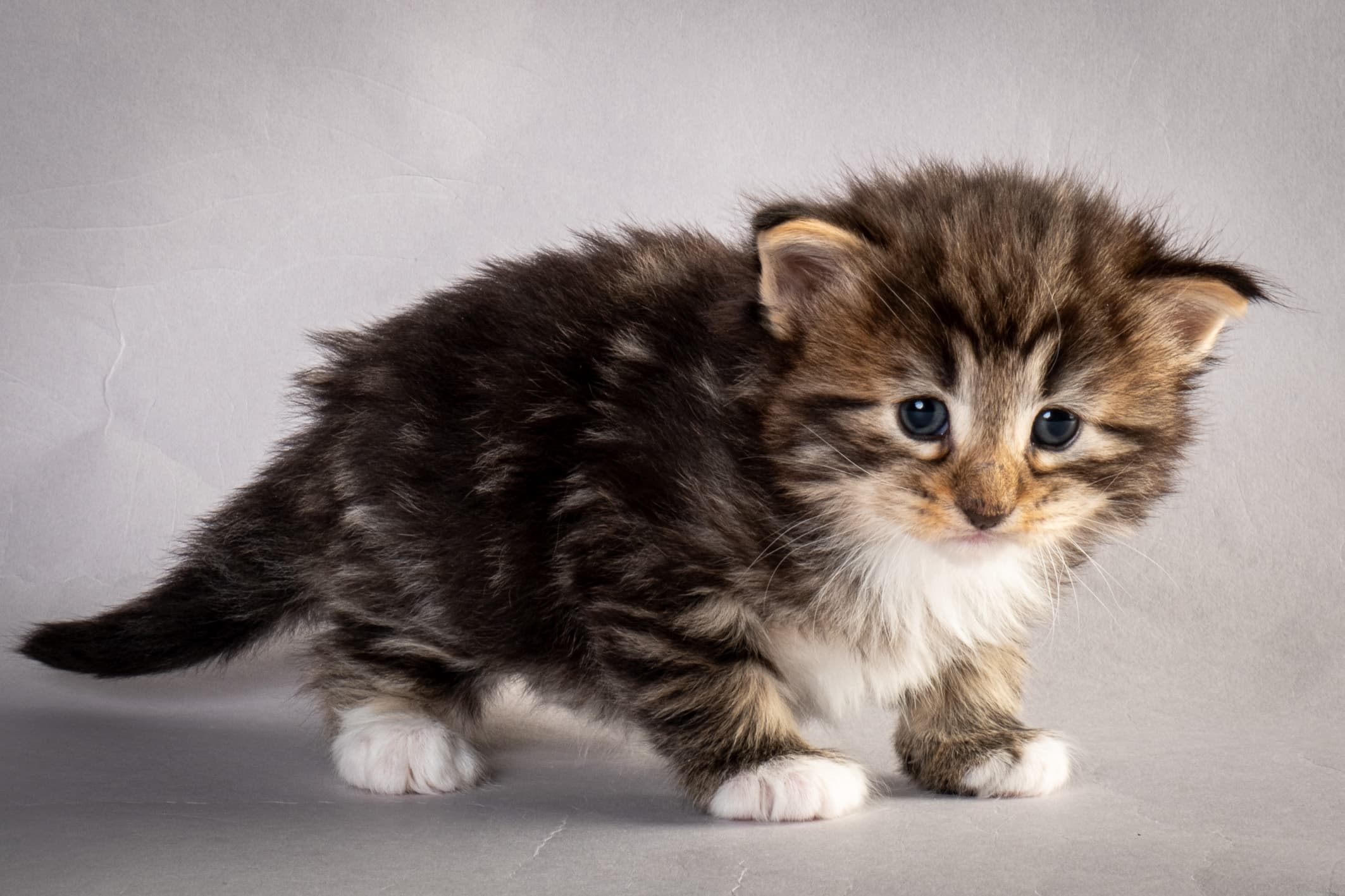 (N)Migoto's Njård, NFO n 09 22