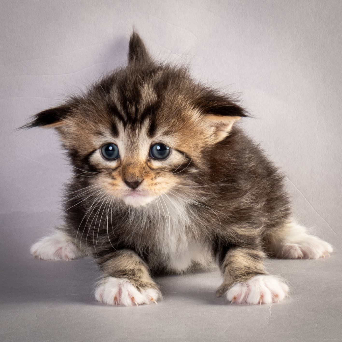 (N)Migoto's Nina, NFO n 09 22