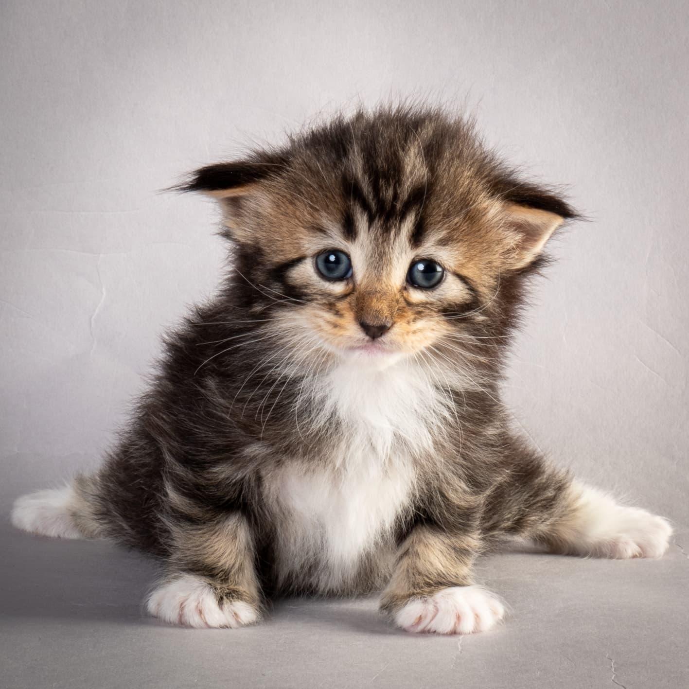 (N)Migoto's Nina, NFO n 09 22