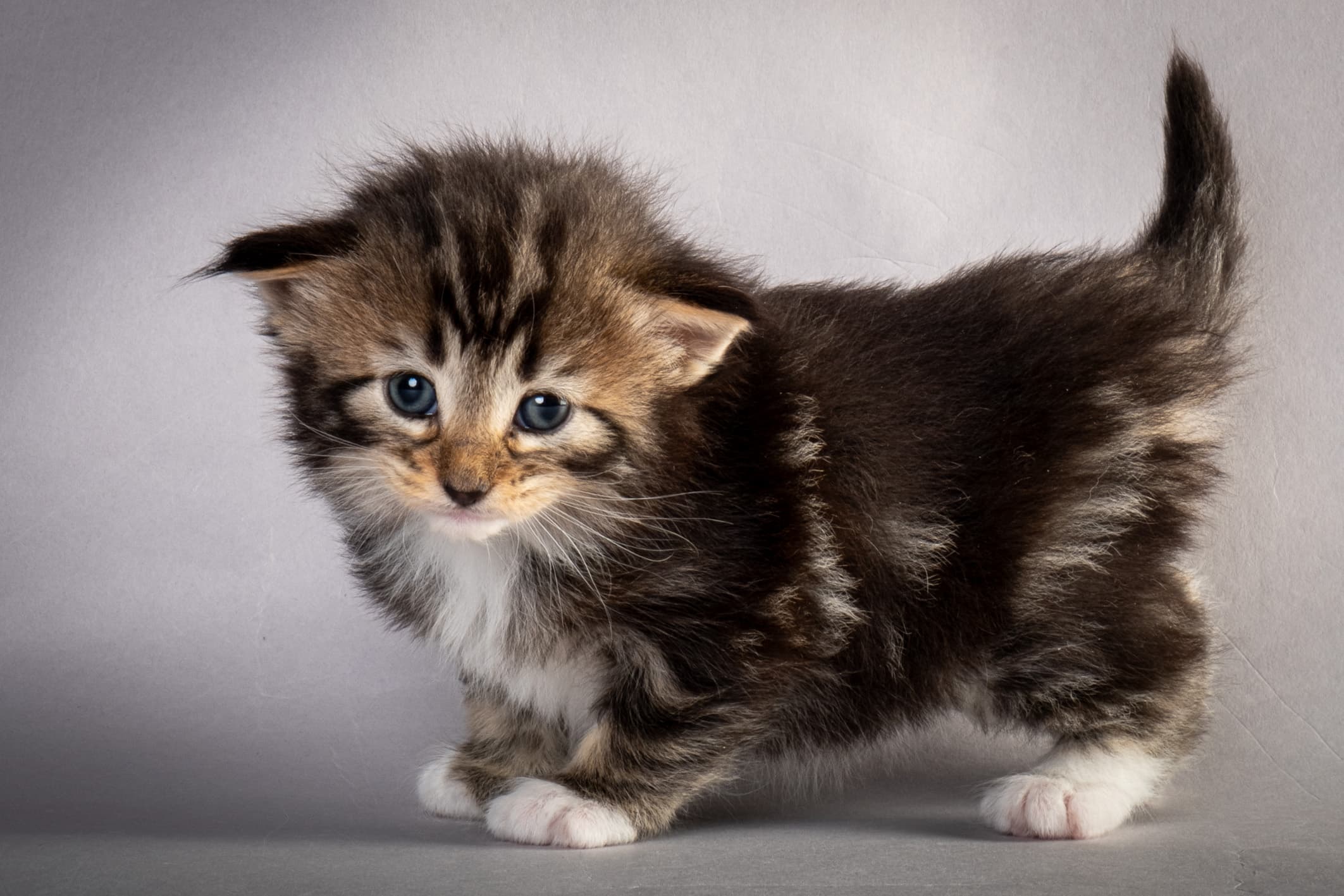 (N)Migoto's Nina, NFO n 09 22