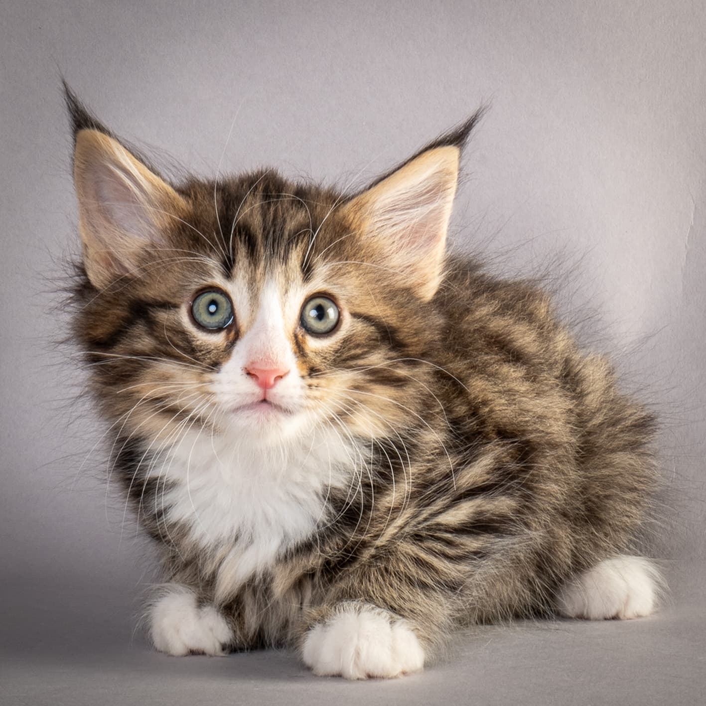 (N)Migoto's Martinius, NFO n 09 24