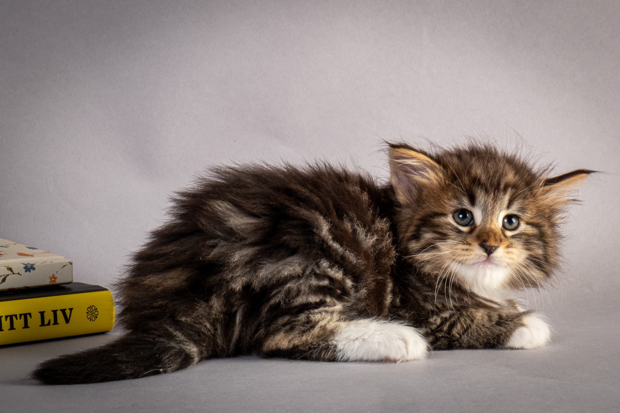 (N)Migoto's Njård, NFO n 09 22