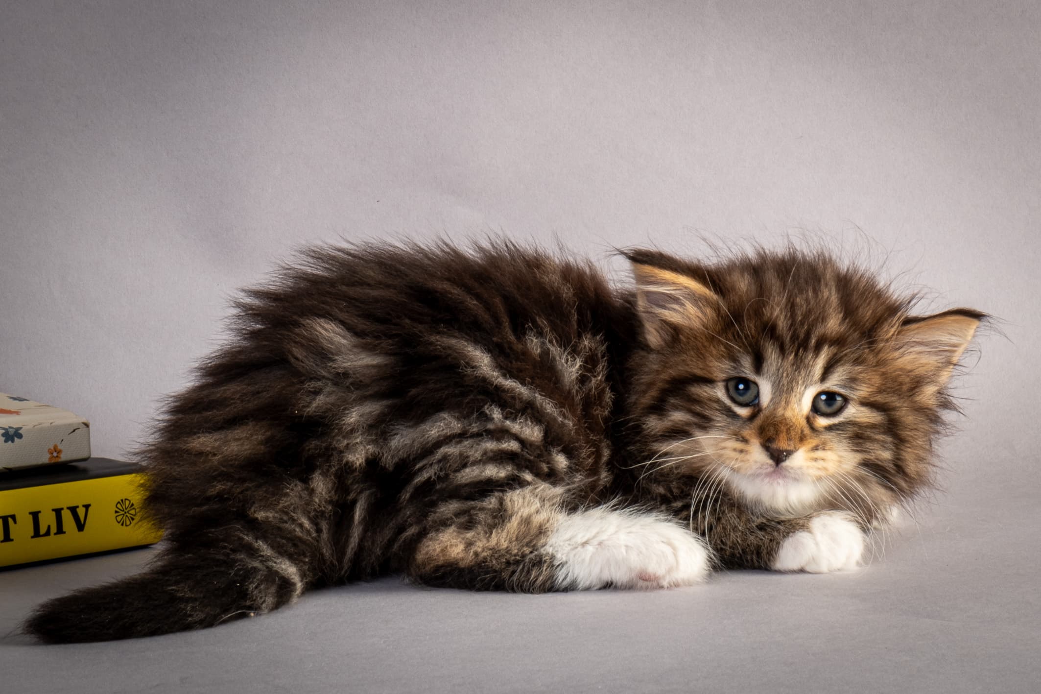 (N)Migoto's Njård, NFO n 09 22