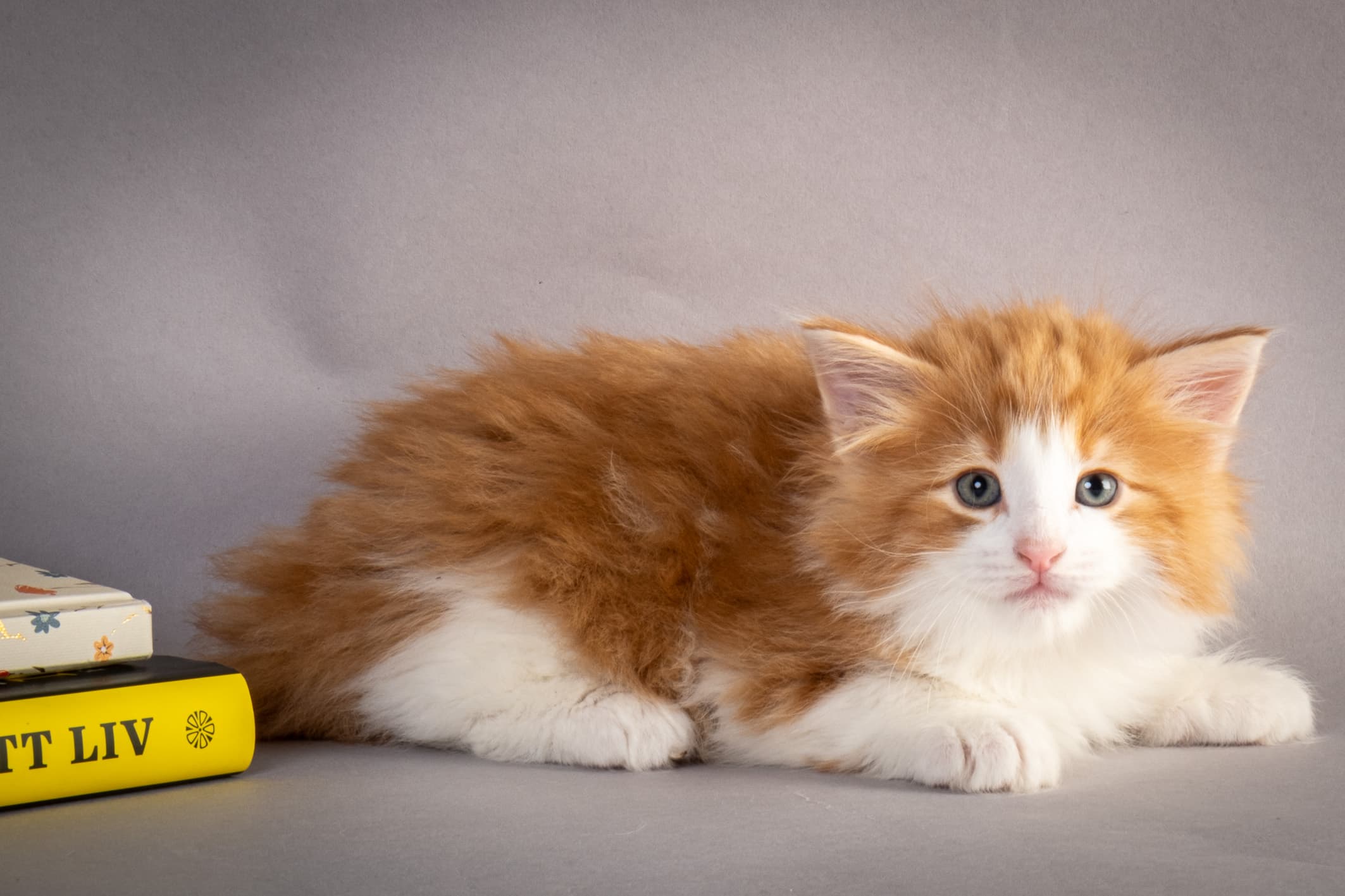 (N)Migoto's Nate, NFO d 03 22