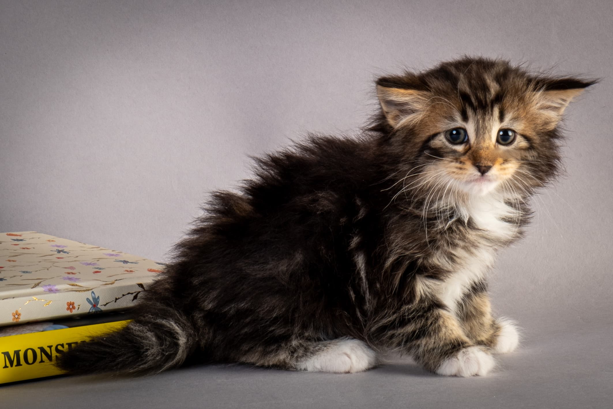 (N)Migoto's Nina, NFO n 09 22