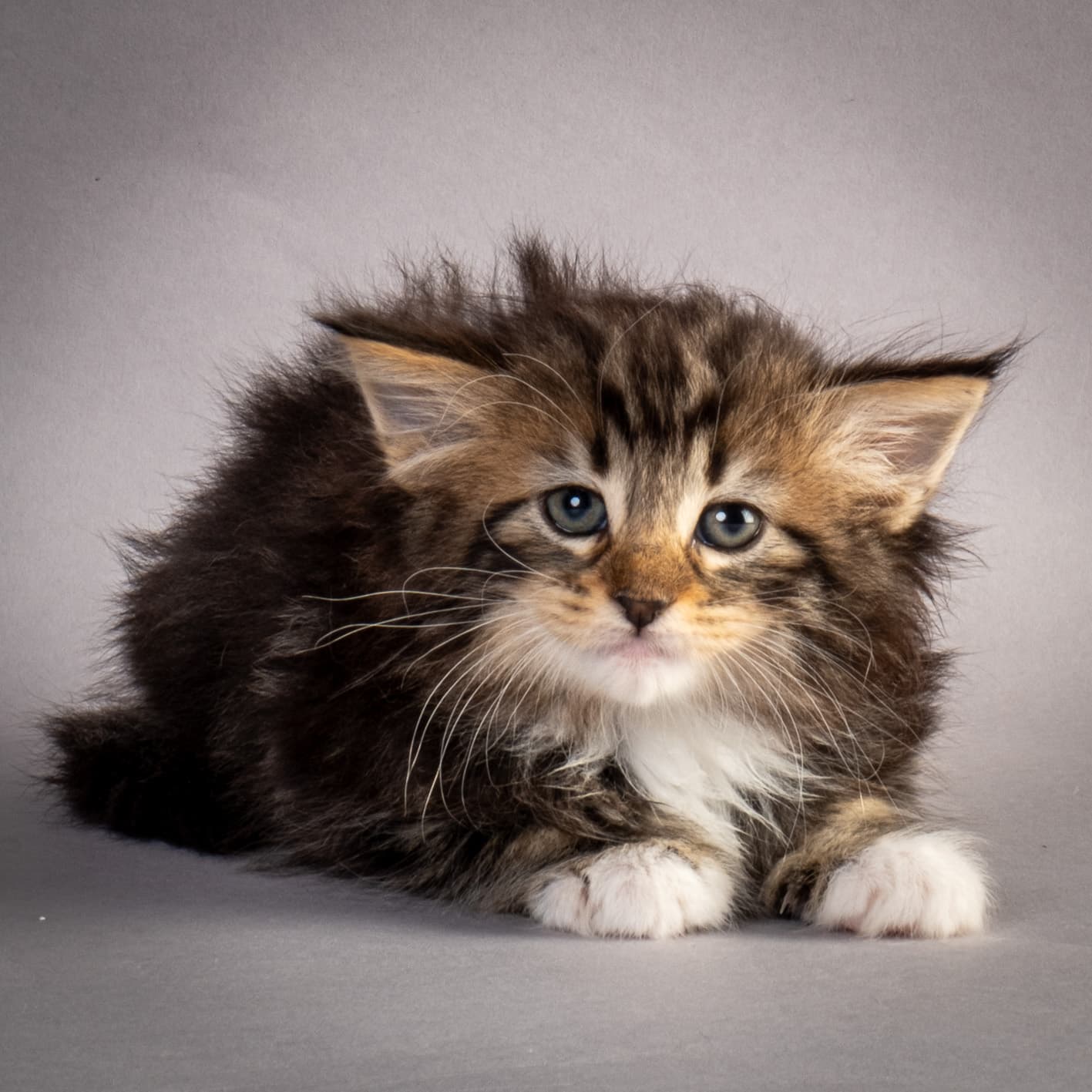 (N)Migoto's Nina, NFO n 09 22