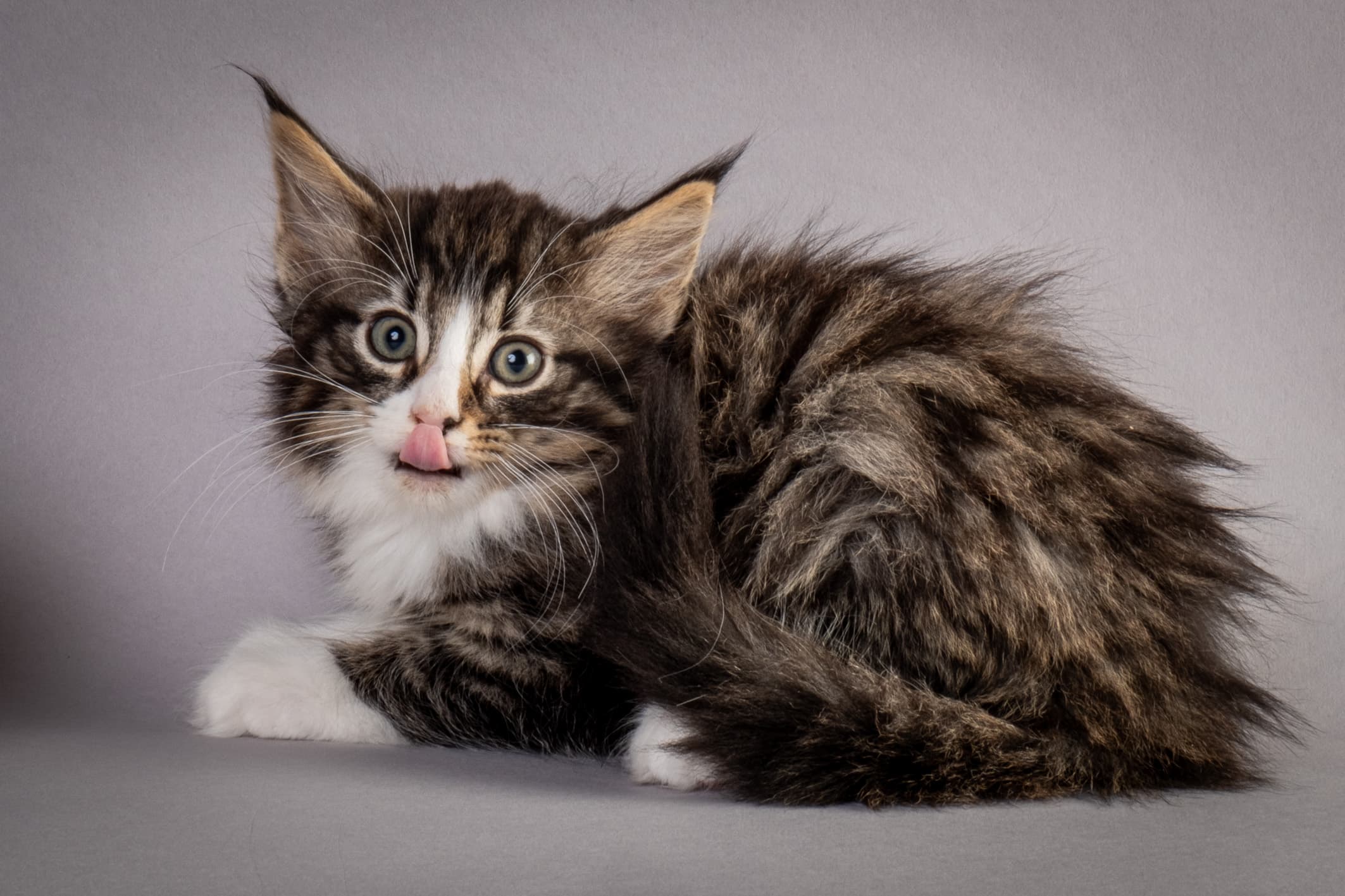 (N)Migoto's Marcus, NFO n 09 24