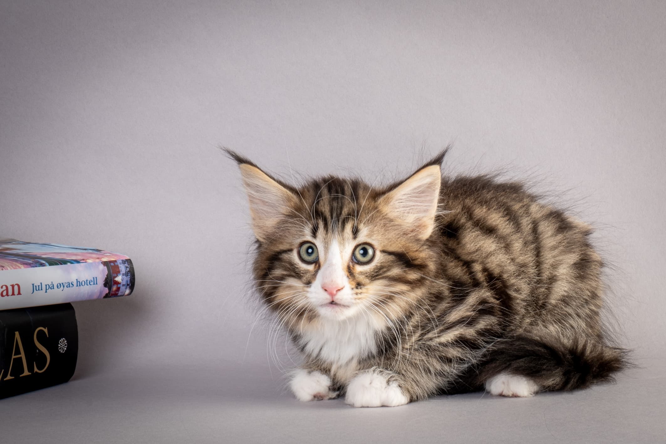 (N)Migoto's Martinius, NFO n 09 24