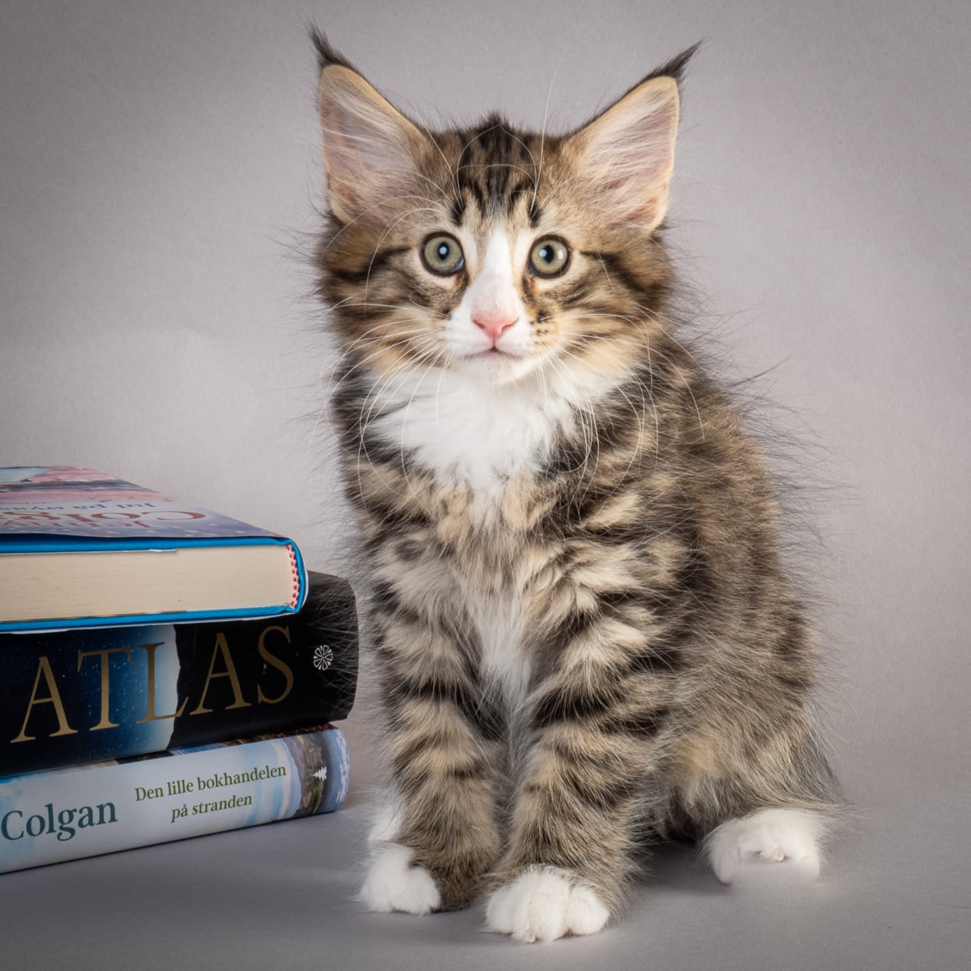 (N)Migoto's Martinius, NFO n 09 24