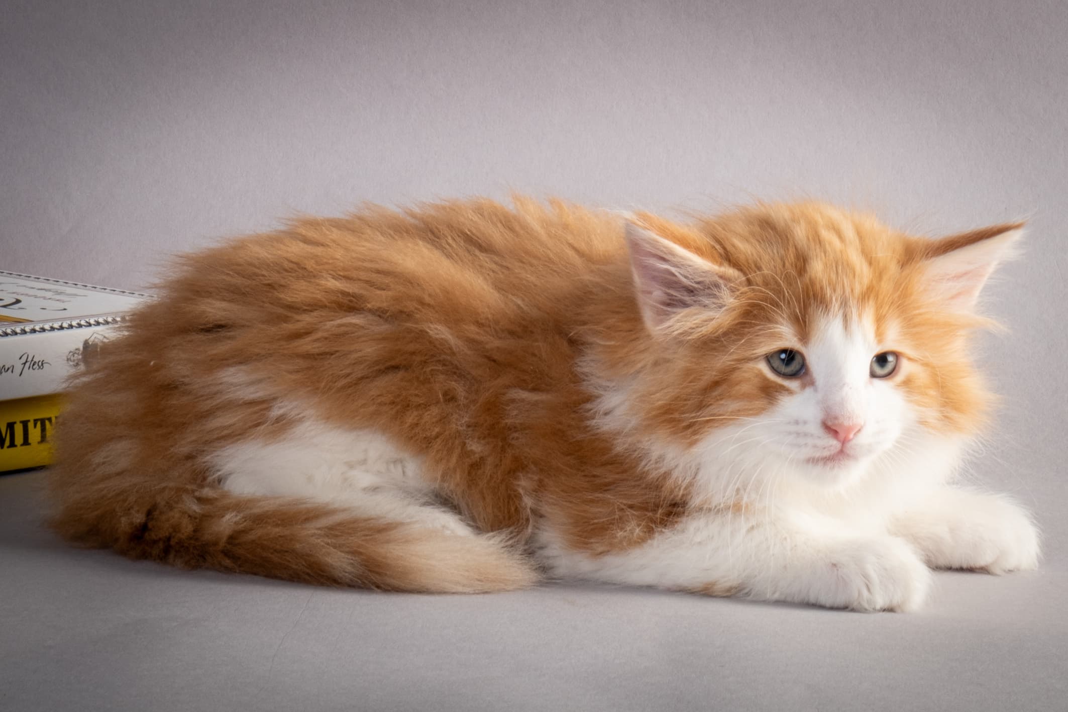 (N)Migoto's Nate, NFO d 03 22