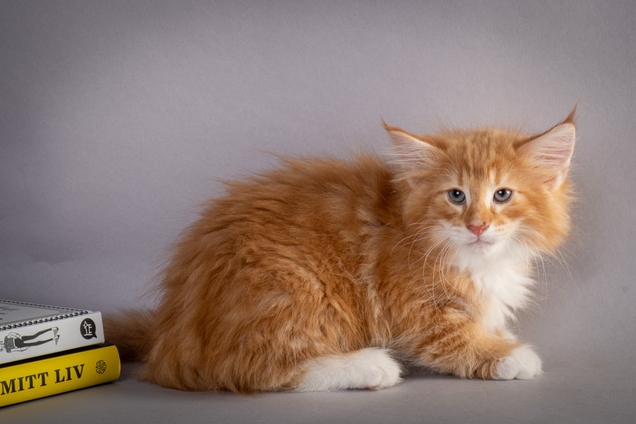 (N)Migoto's Nemo, d 09 22