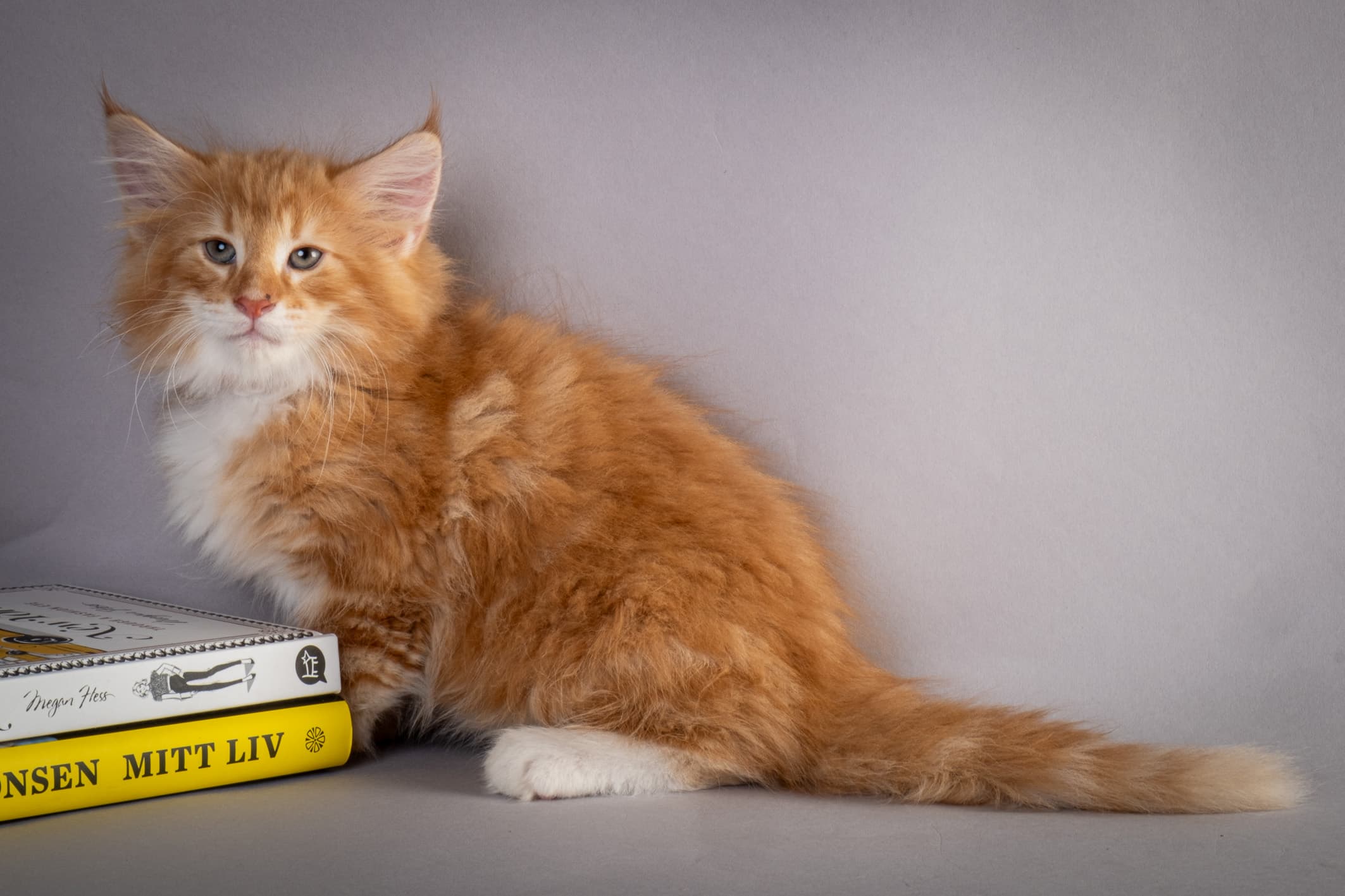 (N)Migoto's Nemo, d 09 22